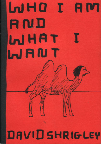 Cover of *Who I Am and What I Want* by David Shrigley published by Redstone Press 2003

