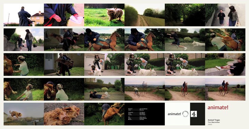 Animal Tragic: 29 frames from the film, in order
