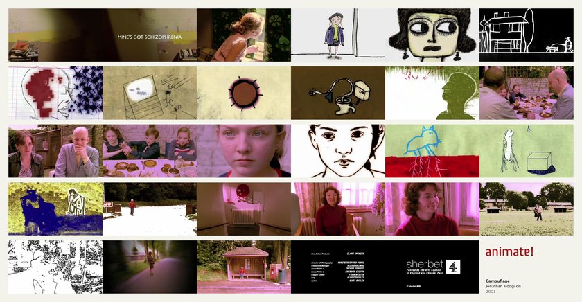 Camouflage: 29 frames from the film, in order