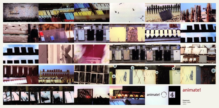 Exposure: 29 frames from the film, in order