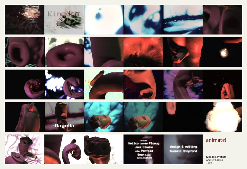 Kingdom Protista: 29 frames from the film, in order