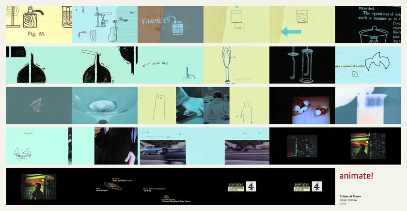 Tulips at Dawn: 29 frames from the film, in order