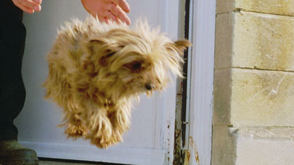 film still: 