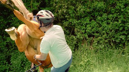 film still: 