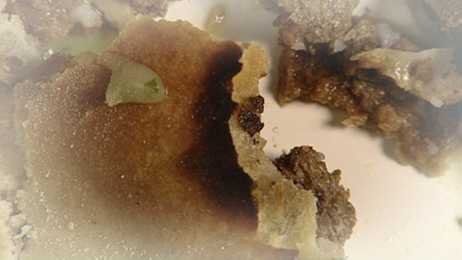 film still: 