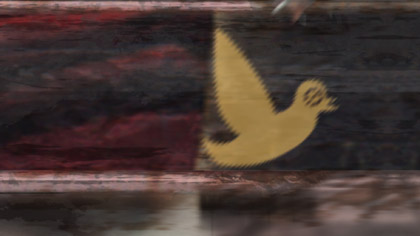 film still: duck3

