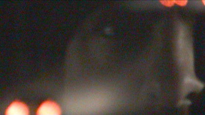 film still: 