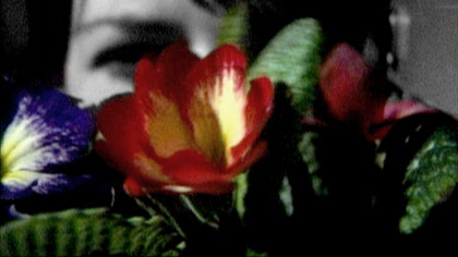 film still: She has been cultivating a colourful little allotment in the filing cabinet

