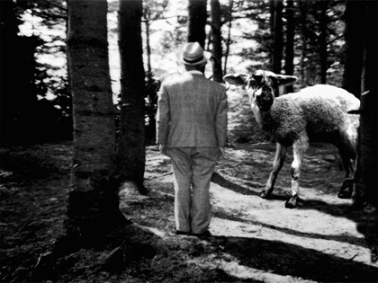 film still: 