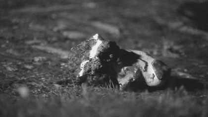 film still: 