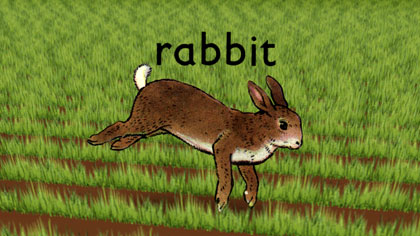 film still: *Rabbit* front title

