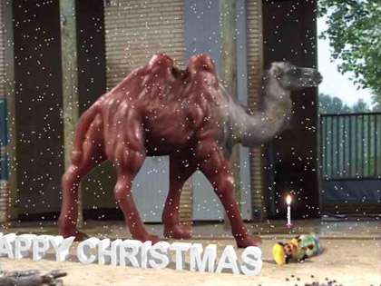 film still: camel

