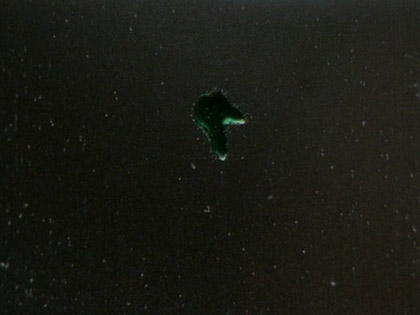 film still: 