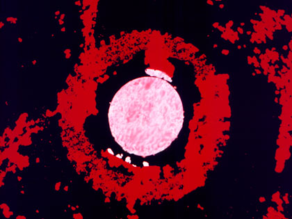 film still: 