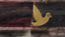 duck3


