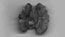 Scan of a walnut. I really enjoyed doing this sequence. I used lots of scanned nuts to mimic the grainy, surreal look of the image you see whilst the foetuses are being scanned with ultrasound.

