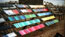 Colour plates: This shot opens the film and introduces the vibrant colours of the coated plates at the site. It was taken as a 35mm still, the negative I processed myself, which I pushed to over-cook the colours. This was scanned to PC, printed up and re-filmed on my 35mm rostrum.

